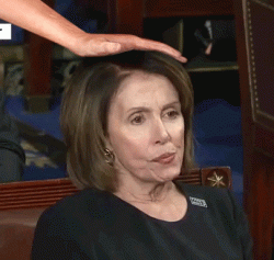 2nany-pelosi-head-pat.gif