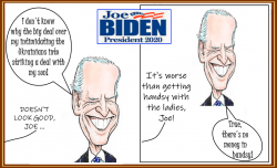 9-25-19-toon-biden-ukraine-boomerang6c_orig.png