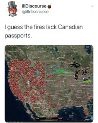 fires.jpeg