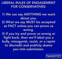 liberal-fascism-rules-of-engagement-for-conservatives-we-can-say-anything-about-you-label-if-y...jpg