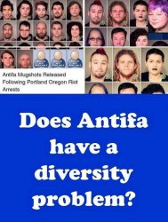 antifa-mugshots-portland-riot-all-white-diversity.jpg