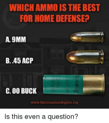 which-ammo-is-the-best-for-home-defense-a-9mm-20543309.png