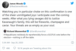 Screenshot_2020-09-20 James Woods to 'Dick' Blumenthal Watching you in particular choke on thi...png