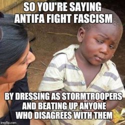 so-youre-telling-me-antifa-fights-fascism-by-dressing-as-stormtroopers-beating-up-anyone-who-d...jpg
