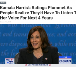 Screenshot_2020-10-09 Kamala Harris's Ratings Plummet As People Realize They'd Have To Listen ...png