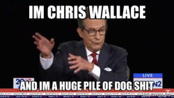 im-chris-wallace-387b168b38.png