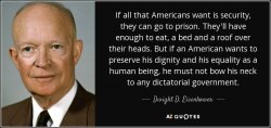 quote-if-all-that-americans-want-is-security-they-can-go-to-prison-they-ll-have-enough-to-dwig...jpg