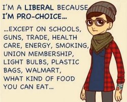 im-liberal-pro-choice-except-guns-health-care-smoking-unions-plastic.jpg