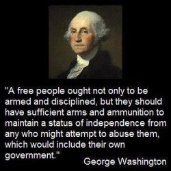 george-washington-firearms-vs-govt.jpg
