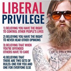 liberal-privilege-believing-control-other-peoples-lives-rules-dont-apply-to-you-offended-never...jpg