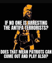 question-no-one-is-arresting-antifa-terrorists-does-that-mean-patriots-can-also-come-out-and-p...jpg