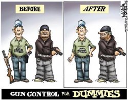 Gun control.jpeg