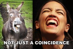 ocasio-cortez-braying-donkey.jpg