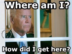 Joe-Biden-Window-thefunnyconservative-original-Who-Am-I-How-Did-I-Get-Here.jpg