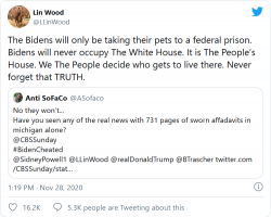 Screenshot_2020-11-28 LIN WOOD -- The Biden's Will Never Occupy The White House - The Donald -...png