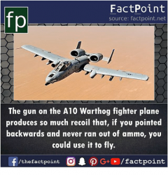 fp-factpoint-source-factpoint-net-the-gun-on-the-a10-warthog-29440107.png