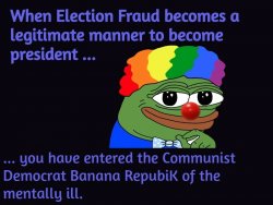 election pepe.jpg