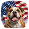 K9Patriot